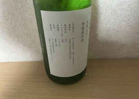 alt 3