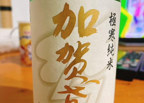 加賀鳶 チェックイン 1