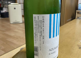 alt 1