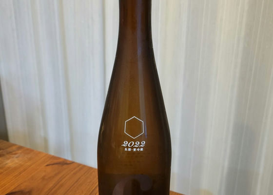 alt 1