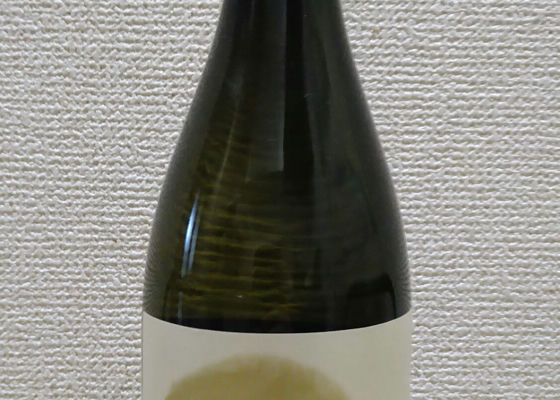 alt 1
