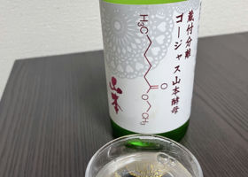 alt 2