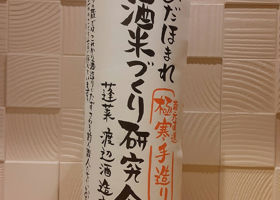 alt 1