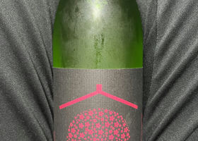 alt 1