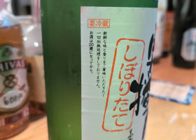 alt 3