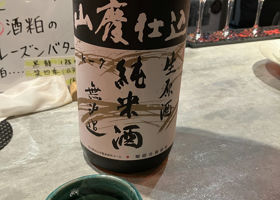 alt 1