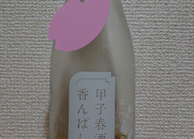 alt 1