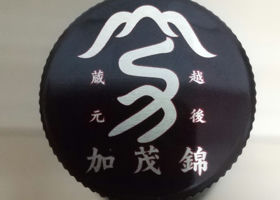 alt 4
