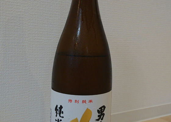 alt 1
