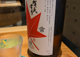 alt 3