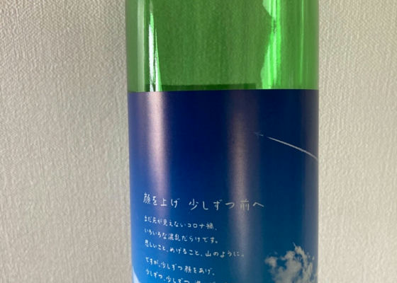 alt 1