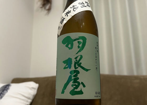 alt 1