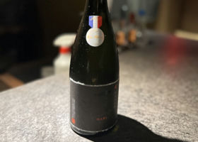 alt 1