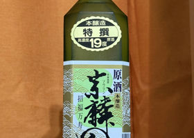 alt 1