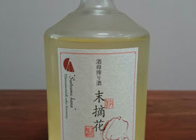 alt 1