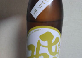alt 1