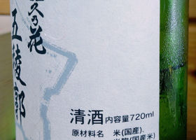 alt 2