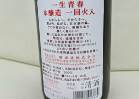 alt 3