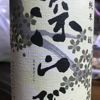 深山桜 1