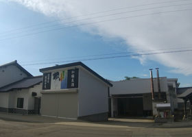 alt 3