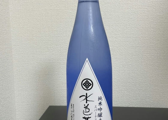 alt 1