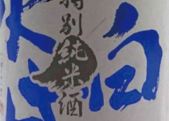 alt 1