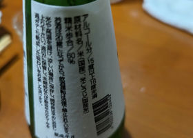 alt 3