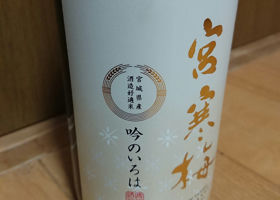 alt 3