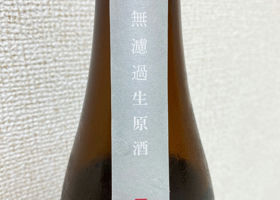 alt 3