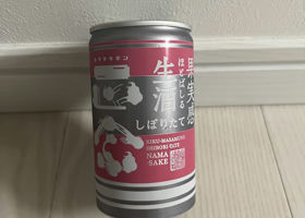 alt 1