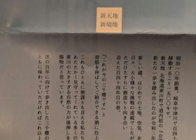 alt 3