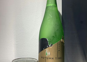 alt 1