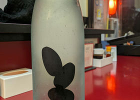 alt 1