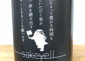 alt 4