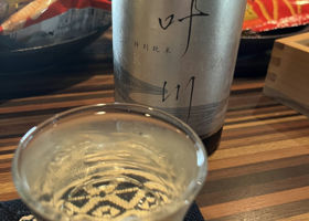 alt 1