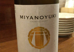 Miyanoyuki Check-in 2