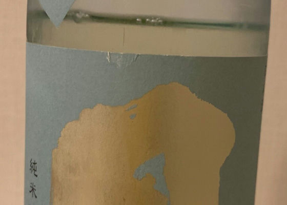alt 1