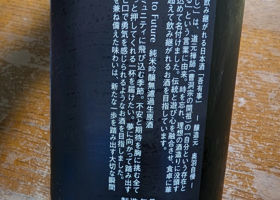 alt 3