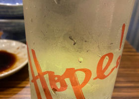 alt 1