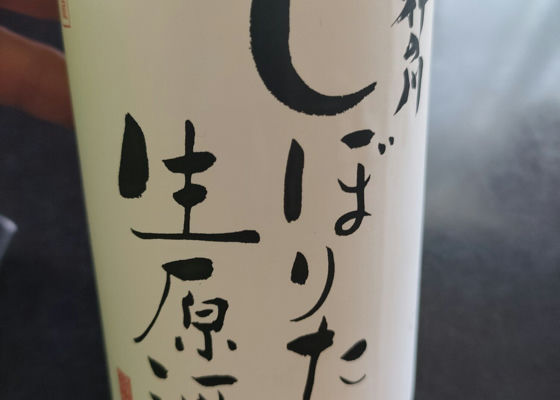 alt 1