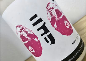 alt 1