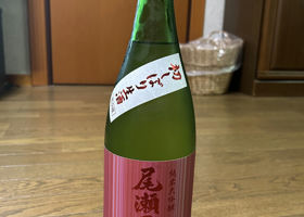 alt 1