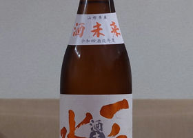 alt 1