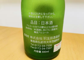 alt 2