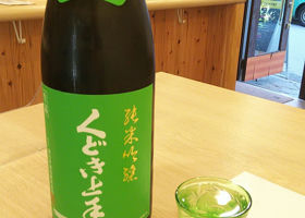 alt 1