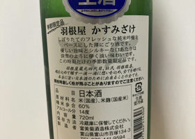 alt 2
