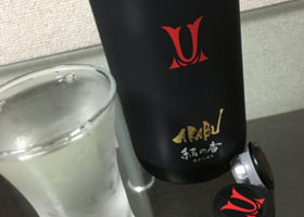 alt 1
