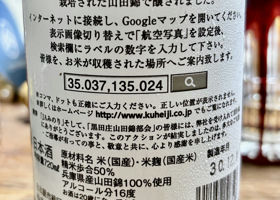 alt 3