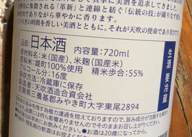 alt 3