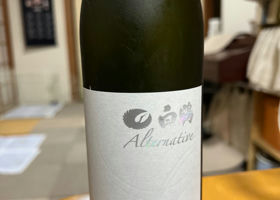 alt 1